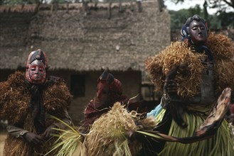 CAMEROON, Rumpi Hills, Boys masquerade in Ekpe regalia wooden masks and Rafia. Leopard cult Balundi