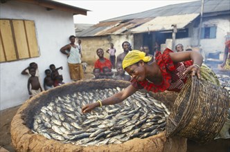 GHANA, Near Accra, Woman spreading small fish in a large basket for smoking