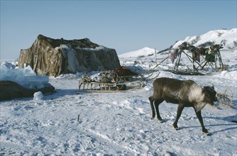 RUSSIA, Siberia, Kamchatka, Koryak tent sleigh and reindeer.