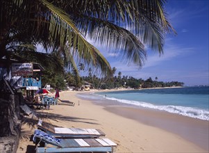 SRI LANKA, Unawatuna, Narrow sandy beach lined with vegetation and overhanging palm trees with