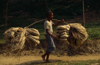 BANGLADESH, Chittagong, Sylhet, Man carrying bundles of jute fibre attached to each end of a pole