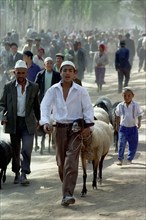 CHINA, Xinjiang, Kashgar, Boy and man leading sheep along the roadside to market