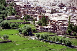 INDIA, Ladakh, View over village houses with water run along the edge of cultivated fields