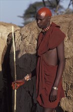 KENYA, Kajiado, Portrait of a Maasai moran with recently shaved heads covered with ochre which