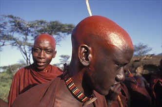 KENYA, Kajiado, Maasai moran with their recently shaved heads covered with ochre which signifies