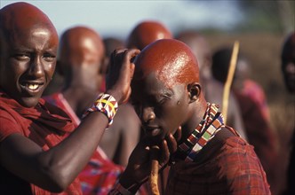 KENYA, Kajiado, Maasai Moran cover their recently shaved heads with red ochre which signifies their