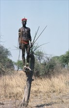 SUDAN, Tribal Peoples, Dinka man standing in tree with net and spear.