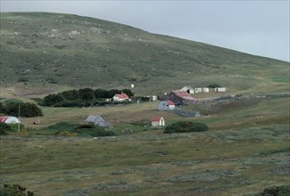 FALKLAND ISLANDS, Carcass Island, Houses in the settlement.