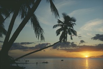 MAURITIUS, Sunset, Beach with palm trees back lit by setting sun.