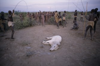 ETHIOPIA, People, Mursi tribe sacrifice cow for Nitha Age Set Ceremony.
