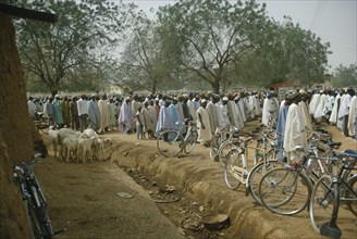 NIGERIA, Kano, Lines of Muslim men and boys at Friday prayer meeting.
