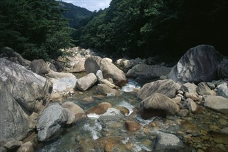 SOUTH KOREA, Kangwon, Soraksan National Park, Sorak Mountains.  Stream flowing over large rocks and