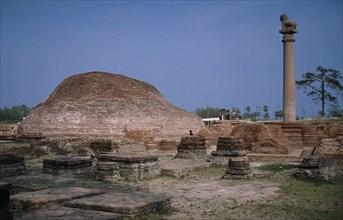 INDIA, Bihar, Sravasti, Ancient site with Ashoka pillar.