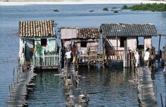 BRAZIL, Bahia, Salvador da Bahia, Slum dwellings raised above sewage polluted water with access by