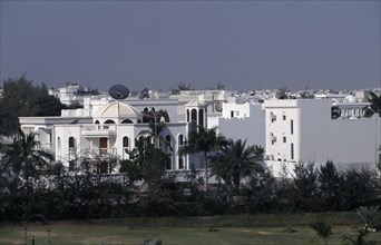 OMAN, Muscat, White painted housing amongst palms.