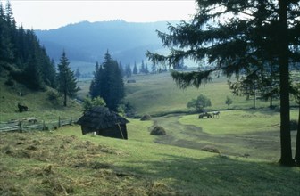 ROMANIA, Carpathian Mountains, Agricultural landscape with horse drawn haycart and stacks.