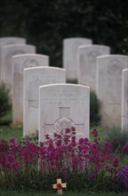 FRANCE, Normany, Hermanville, Gravestones at the British World War 2 WWII military cemetery