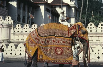SRI LANKA, Kandy, Perahera Buddhist festival procession.  Elephant wearing decorative batik cloth.