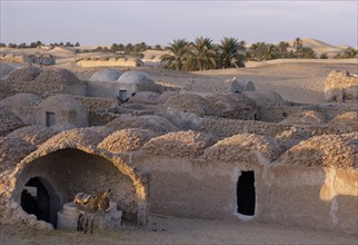 ALGERIA, Sahara, Traditional mud architecture with donkey in foreground.