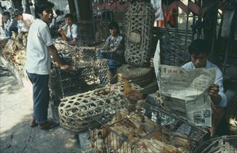 CHINA, Guangdong, Guangzhou, Market scene with ducks and chickens in small cages.