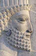 IRAN, Zagros Mountains, Persepolis, Ancient Greek site.  Detail of frieze in the Apadana or Great