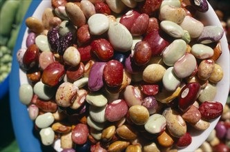 MEXICO, Chiapas, San Cristobal de las Casas, Bowl of mixed beans in the market.