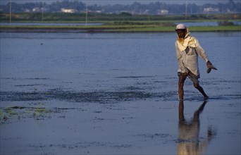 BANGLADESH, Dhaka, Farmer walking through flooded field.