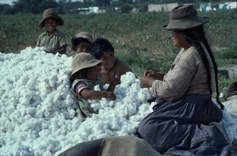 PERU, Ica, Woman and children with harvested cotton bols.