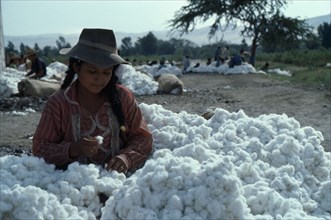 PERU, Ica, Girl with harvested cotton bols.