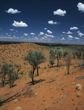 AUSTRALIA, Northern Territory, Kata Tjuta National Park, Kata Tjuta Viewing Area between Ayers Rock