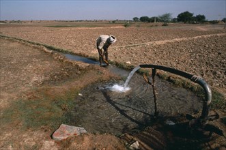 INDIA, Andhra Pradesh, Irrigation of agricultural land.