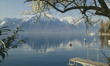 SWITZERLAND, Vaud, Montreux, Boat jetty and overhaning tree on shore of Lake Geneva with mountain