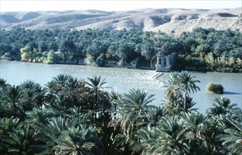 IRAQ, South, Euphrates River, River and water wheel lined by palms looking west from minaret of