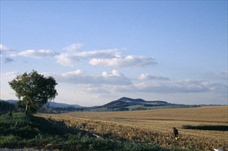HUNGARY, Farming, Harvested maize field.