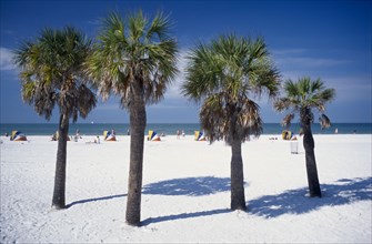 USA, Florida, Clearwater, White sandy beach with palm trees in the foreground