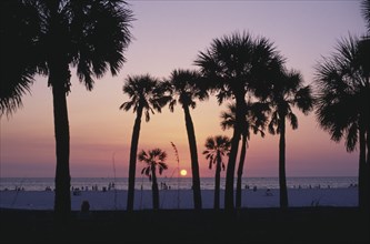 USA, Florida, Clearwater, Sunset over the beach seen through palms