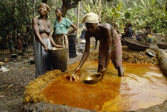 SIERRA LEONE, The Mende, Women processing Palm Oil.