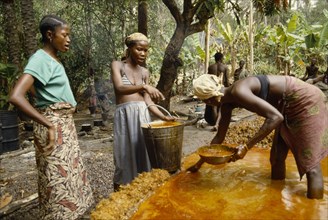 SIERRA LEONE, The Mende, Women processing Palm Oil