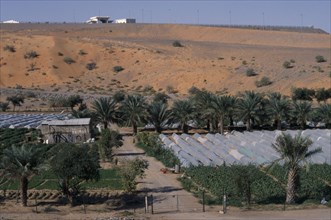 UAE, Agriculture, Desert farm with vegetables and salads growing under plastic.