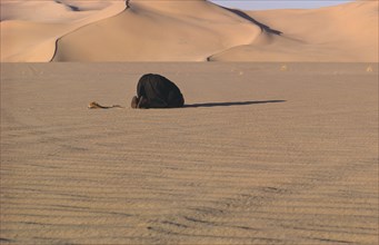 ALGERIA, Religion, Man praying in the desert.