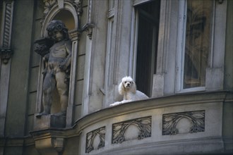 CZECH REPUBLIC, Prague, Building detail with statue and a Poodle dog looking out over balcony.