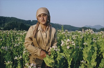 BULGARIA, Farming, Female Turkish tabacco worker standing amongst crops.