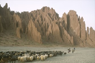 BOLIVIA, Potosi, Shepherd woman returning home for the night with her flock of sheep and goats in