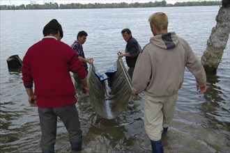 ROMANIA, Tulcea, Isaccea, Female sturgeon at the Casa Caviar sturgeon hatchery being released in