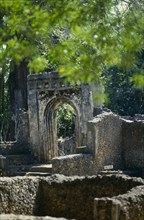 KENYA, Malindi, Gedi, View of archway and walls from the 15th Century ruined city.