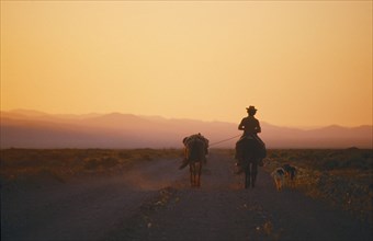 CHILE, Farming, Gaucho on horseback riding along dirt road at sunset leading a packhorse and with