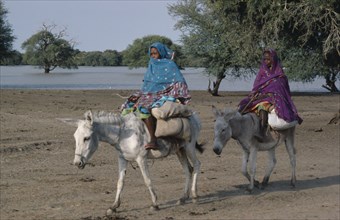SUDAN, South Darfur, Transport, Baggara Arabs.  Two women from the Beni Halba tribe riding donkeys