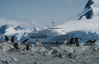 ANTARCTICA, Antarctic Peninsula, Paradise Bay, Ocean Princess cruise ship with penguin colony on