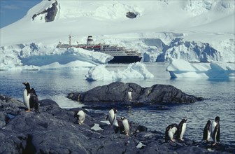 ANTARCTICA, Antarctic Peninsula, Paradise Harbour, Marco Polo cruise ship with penguin colony on