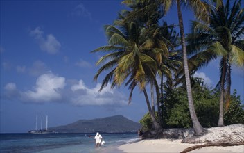 WEST INDIES, Grenadines, Carriacou Island, Sandy Island.  Tourists on sandy beach beneath palm